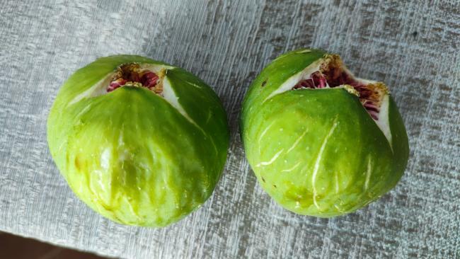 Name:  WhatsApp Image 2025-11-19 at 23.39.35.jpg
Views: 14
Size:  47.0 KB