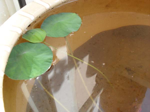 Name:  SDC10405.JPG
Views: 1921
Size:  46.3 KB