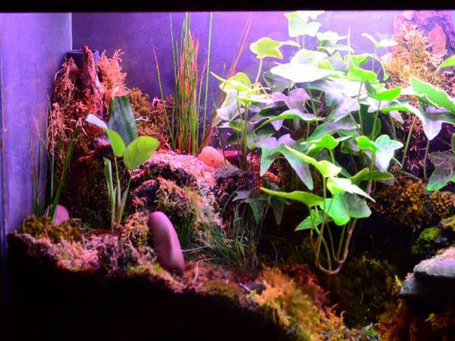 Name:  DSC_4436.jpg
Views: 2695
Size:  63.7 KB