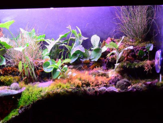Name:  DSC_4438.jpg
Views: 2705
Size:  61.0 KB