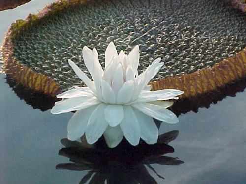 Name:  adv_7_4_4.jpg
Views: 3177
Size:  36.5 KB