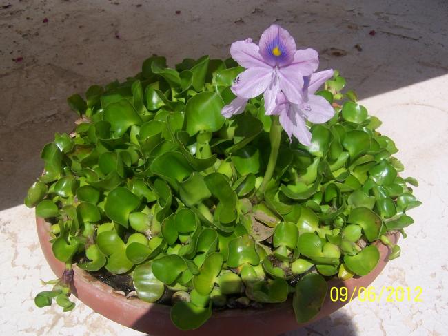 Name:  002.jpg
Views: 1165
Size:  51.7 KB