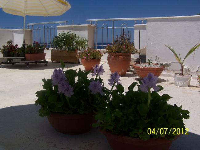 Name:  e (35).jpg
Views: 1675
Size:  41.6 KB