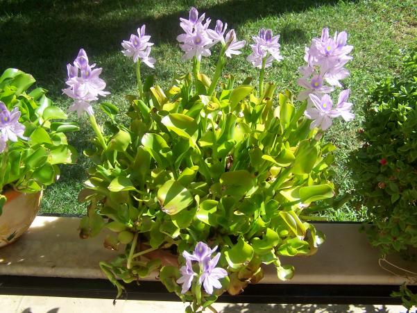 Name:  006.jpg
Views: 1010
Size:  71.8 KB