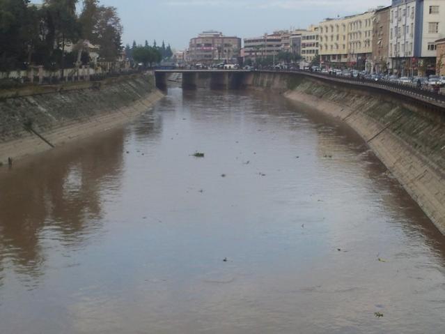 Name:  20121213_153702.jpg
Views: 713
Size:  33.0 KB
