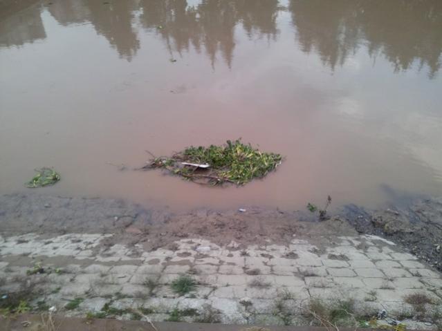 Name:  20121213_154241.jpg
Views: 692
Size:  32.0 KB
