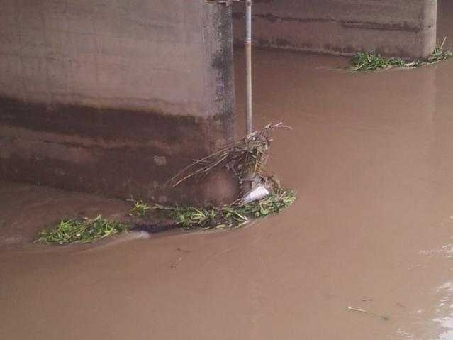 Name:  20121213_152339.jpg
Views: 681
Size:  22.2 KB