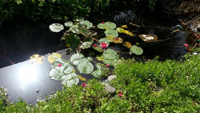 Name:  20130518_103021.jpg
Views: 1439
Size:  61.9 KB