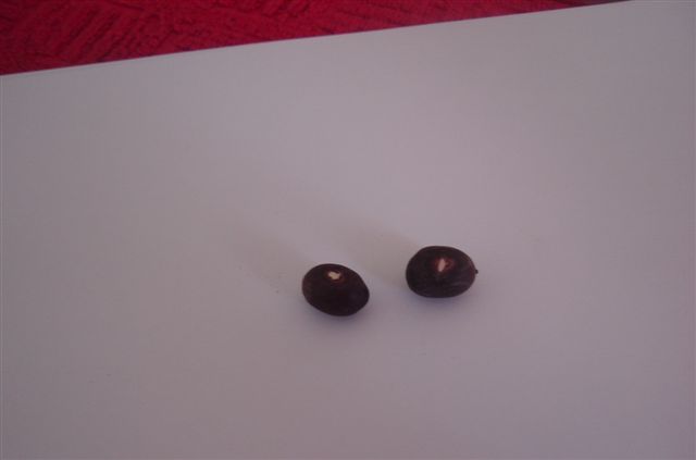 Name:  törpülenmiş.JPG
Views: 5103
Size:  11.9 KB