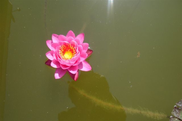 Name:  nil.JPG
Views: 1009
Size:  19.9 KB
