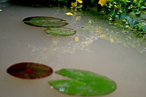 Name:  007.JPG
Views: 1689
Size:  45.3 KB