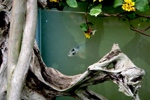 Name:  004.JPG
Views: 2011
Size:  64.5 KB