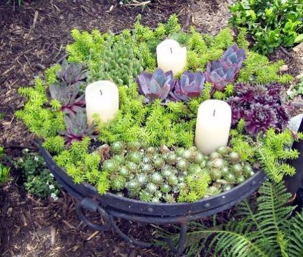 Name:  succbowl.jpg
Views: 4429
Size:  57.3 KB