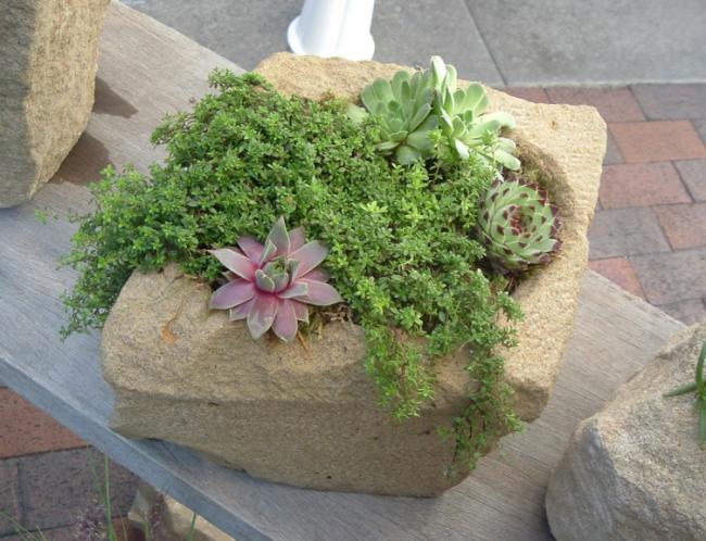Name:  stone-planter-zen-garden-2.jpg
Views: 3958
Size:  60.1 KB