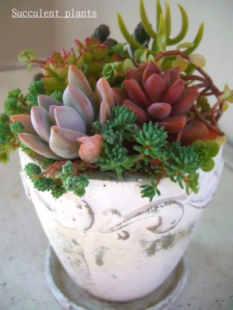 Name:  30454797_o2.jpg
Views: 1691
Size:  38.0 KB