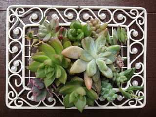 Name:  DSC000999.jpg
Views: 1577
Size:  63.8 KB