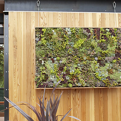 Name:  succulent-art-l.jpg
Views: 3413
Size:  68.8 KB