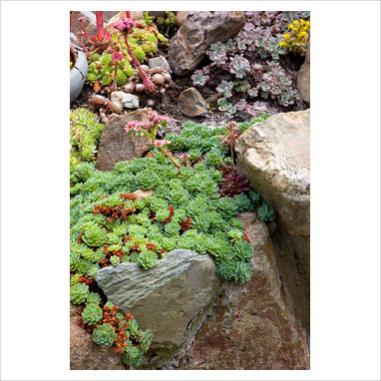 Name:  0167056.jpg
Views: 1801
Size:  30.1 KB