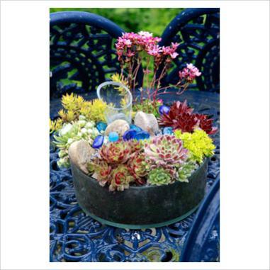 Name:  0223116.jpg
Views: 1794
Size:  28.4 KB