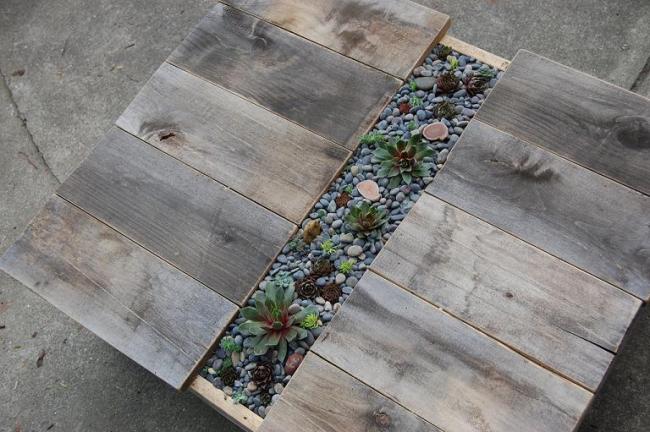 Name:  succulent table1.jpg
Views: 14595
Size:  54.7 KB