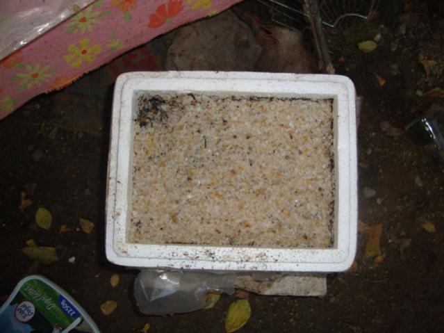 Name:  DSC05631.jpg
Views: 20188
Size:  40.2 KB