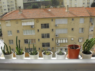 Name:  RR200006.JPG
Views: 1689
Size:  45.7 KB