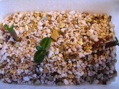 Name:  Image00003.jpg
Views: 1401
Size:  56.8 KB