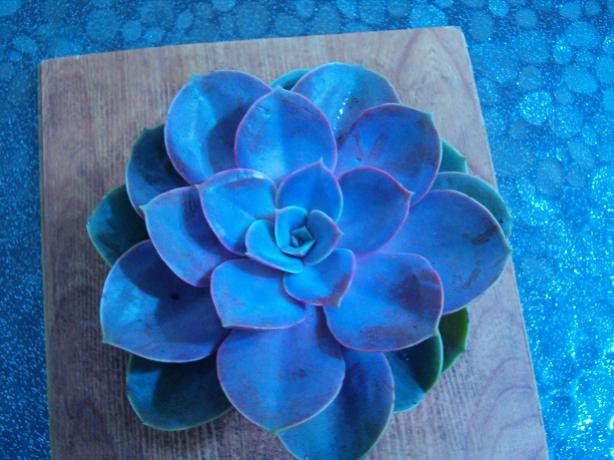Name:  ieklerim 015.jpg
Views: 3414
Size:  45.8 KB