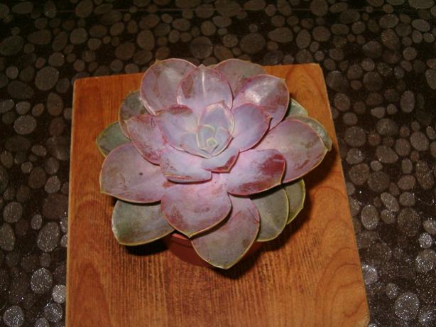 Name:  ieklerim 018.jpg
Views: 3099
Size:  43.9 KB