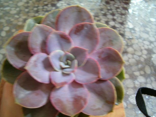Name:  ieklerim 021.jpg
Views: 3142
Size:  31.5 KB