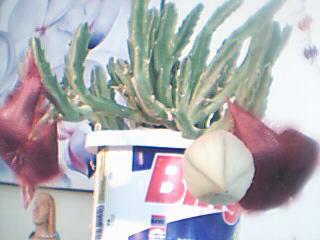 Name:  Resim 002.jpg
Views: 6712
Size:  13.7 KB