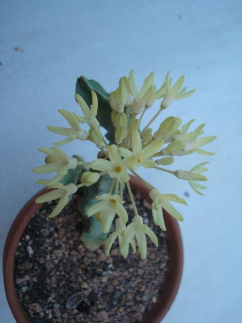 Name:  115.jpg
Views: 2306
Size:  27.7 KB