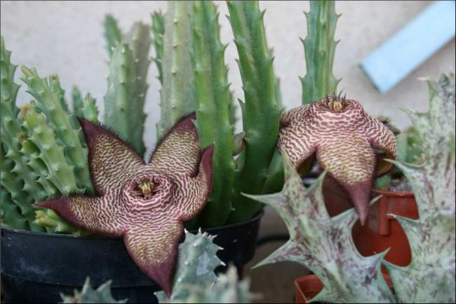Name:  Orbea hybride 2.jpg
Views: 928
Size:  45.2 KB