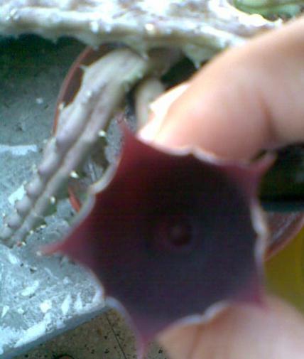 Name:  37.jpg
Views: 1709
Size:  23.2 KB