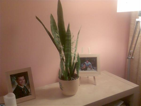 Name:  Klc2.jpg
Views: 12661
Size:  19.9 KB