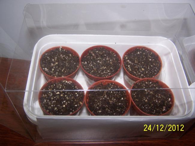Name:  006.jpg
Views: 837
Size:  41.8 KB