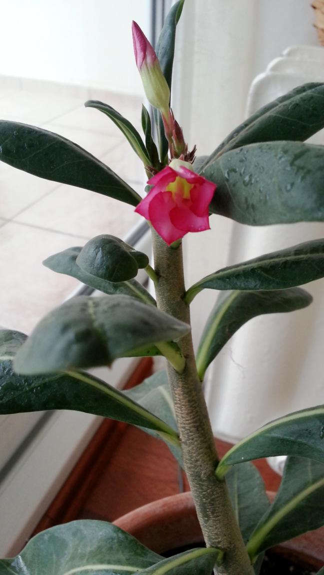 Name:  20130210_150813.jpg
Views: 1108
Size:  69.6 KB