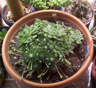Name:  20130510_120113.jpg
Views: 1990
Size:  56.7 KB