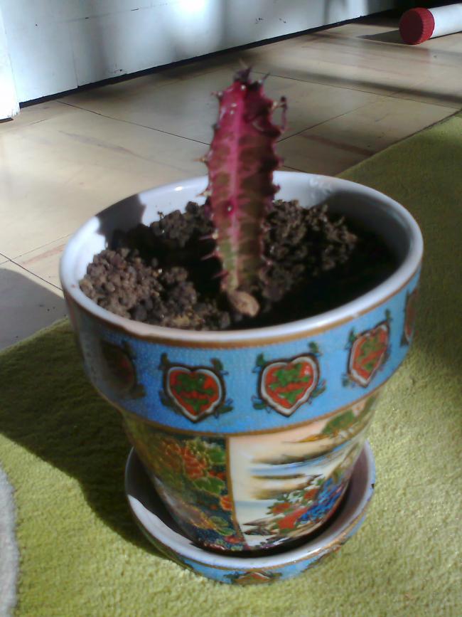 Name:  Fotoraf1003_001.jpg
Views: 4787
Size:  65.2 KB