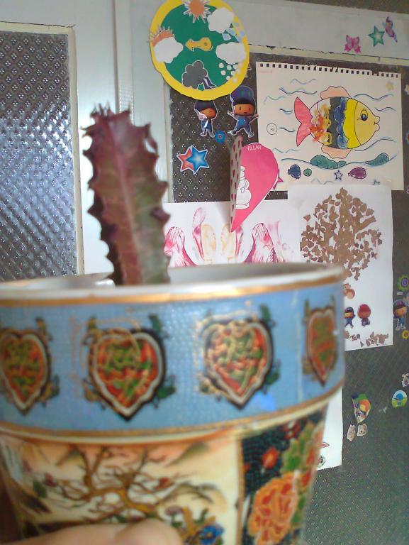 Name:  Fotoraf1005_001.jpg
Views: 4215
Size:  73.2 KB