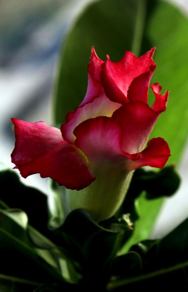 Name:  IMG_6436 1.jpg
Views: 1456
Size:  44.8 KB