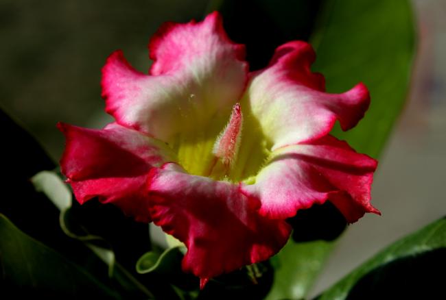 Name:  IMG_6441 1.jpg
Views: 1464
Size:  24.6 KB