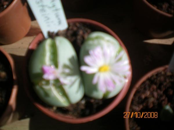 Name:  100_0002.jpg
Views: 865
Size:  24.0 KB