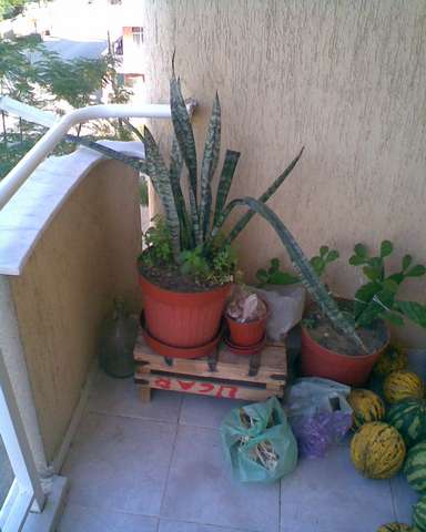 Name:  Image00010.jpg
Views: 5787
Size:  27.8 KB