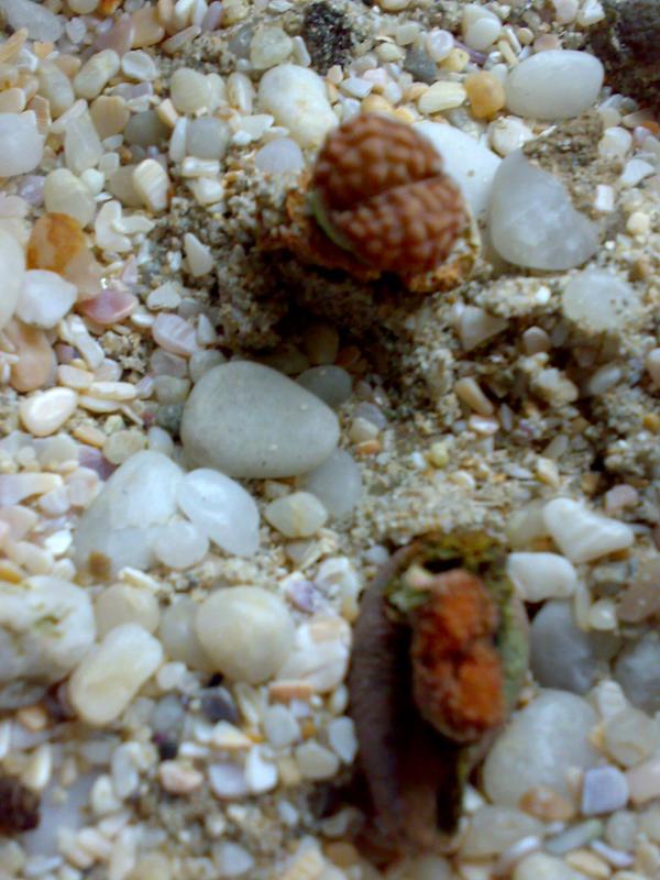 Name:  21022009410.jpg
Views: 1809
Size:  68.3 KB
