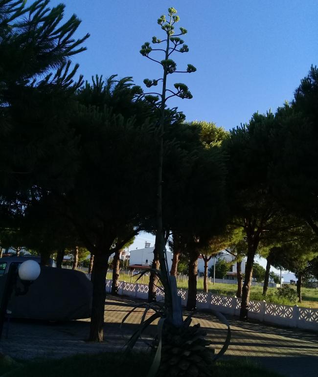 Name: 20170704_192009.jpg
Views: 1354
Size: 66.7 KB