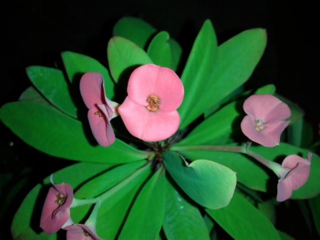 Name:  20170925_233027.jpg
Views: 1148
Size:  28.8 KB