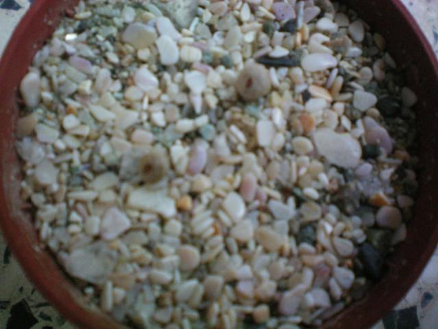 Name:  100_0050.jpg
Views: 1838
Size:  40.5 KB