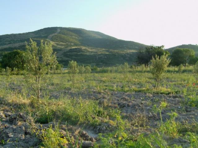 Name:  gzelhisar (2) [640x480].jpg
Views: 7136
Size:  49.3 KB