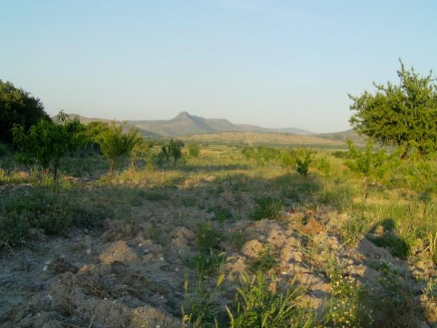 Name:  gzelhisar (11) [640x480].jpg
Views: 7007
Size:  42.0 KB